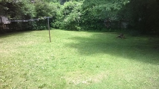 Backyard - 519 Oak St N