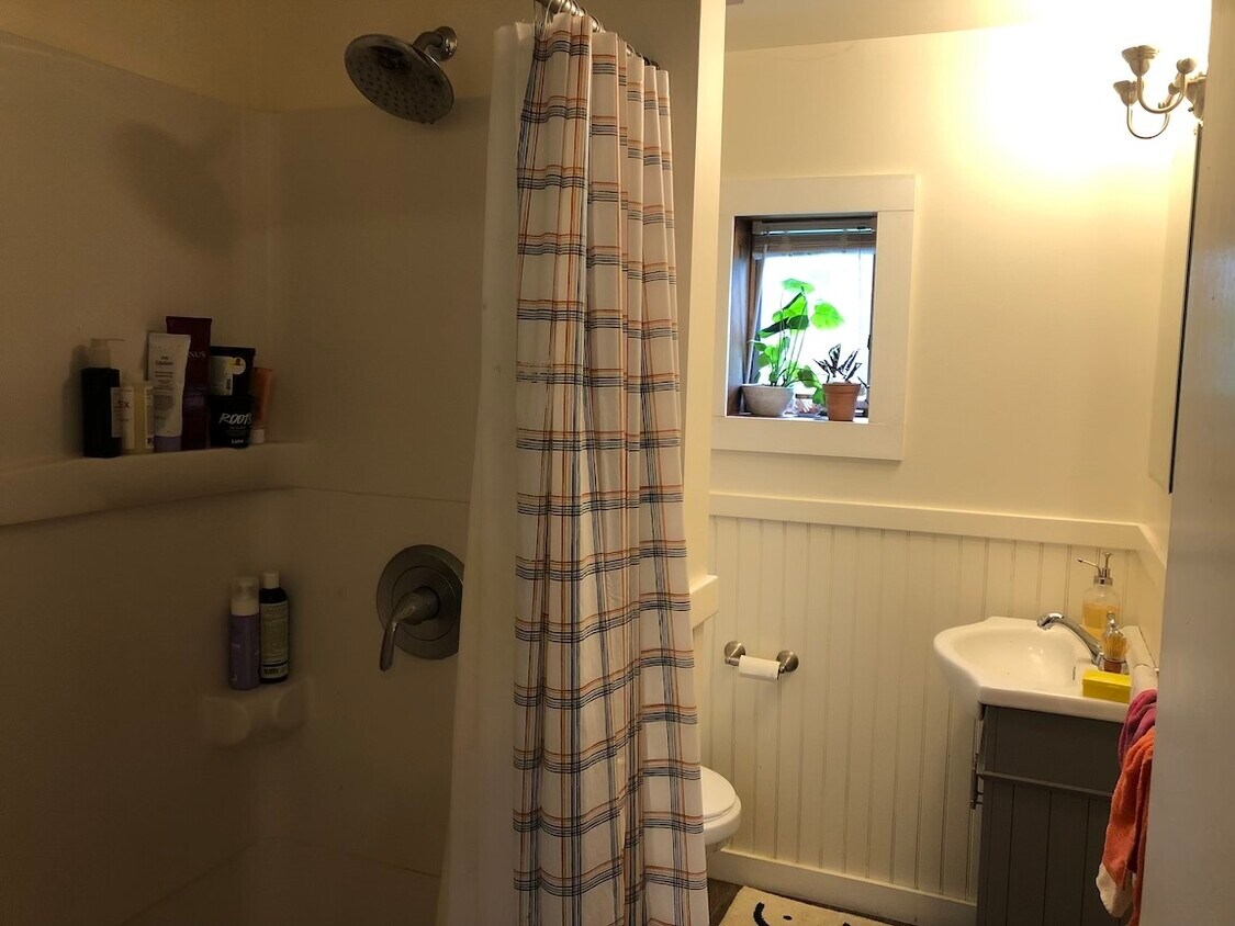Bathroom - 209 East St