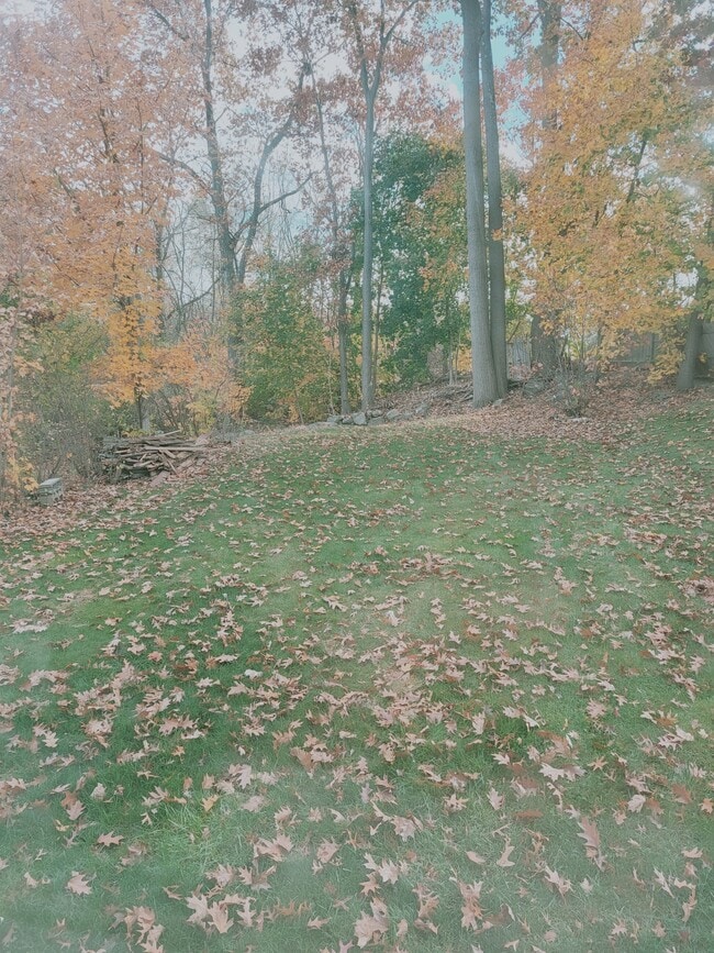Foto del edificio - 141 Greenwood Ct