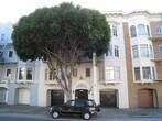 Primary Photo - 2945 Van Ness Ave