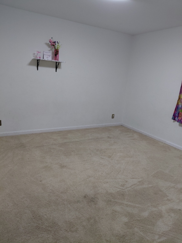 Foto del edificio - 54 Vista Woods Rd