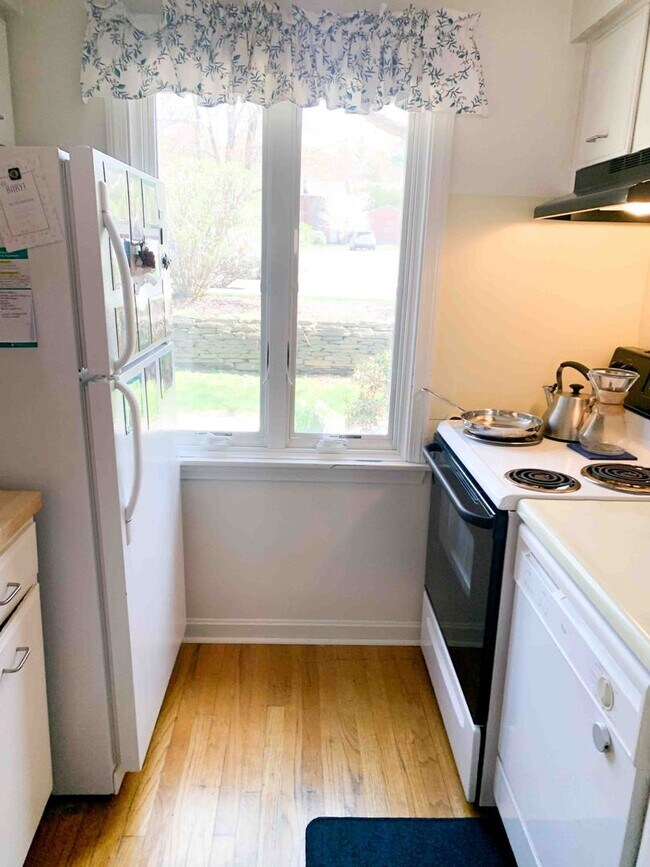 Foto del edificio - 2 Bed / 1 Bath Apartment – Webster Court, Amherst Available 6/8