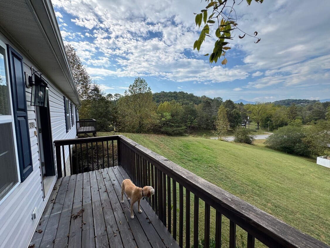 Foto principal - Candler - 2 Bedroom Available Now