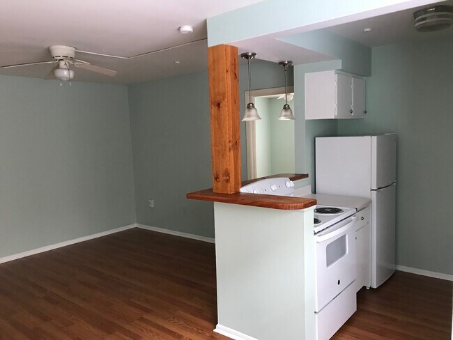 Cocina / sala de estar - 175 Burgin Ave