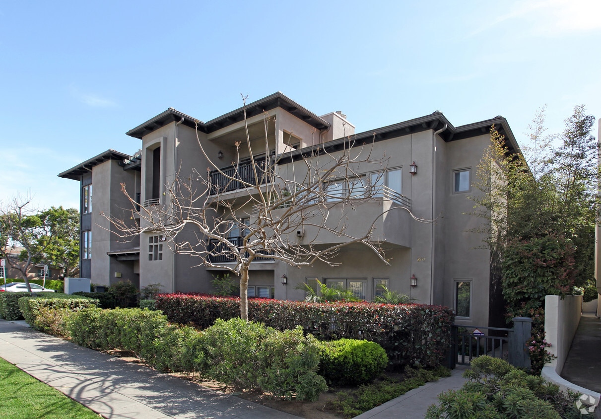 Building Photo - 8141-8171 El Paseo Grande