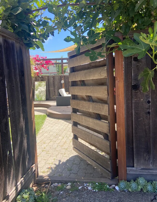 Building Photo - Sunny Live Oak Gem with Backyard Oasis
