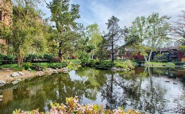 Lakeside Village - 11112 Summertime Ln