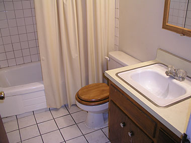 Bathroom - 4555 Bancroft