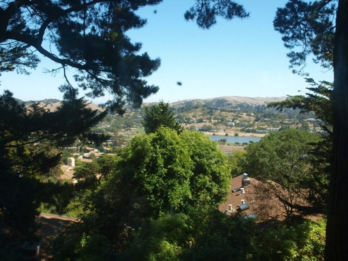 Primary Photo - Pet Friendly Mill Valley Home w/ Hardwood ...