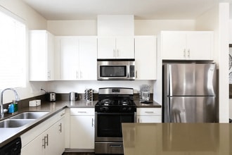 Building Photo - Paloma Apartment Homes
