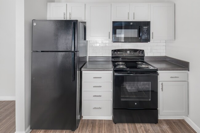 Modern Black Appliance Package - Kitchen - Platinum Interior - Ashley Oaks Apartments