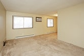 This single-floor unit offers a straightforward and functional layout designed for comfortable everyday living. The open living area features wall-to-wall carpeting and a textured ceiling, providing a warm and neutral backdrop that can be easily personalized. Adjacent to the living space, the compact kitchen is equipped with white cabinetry, a coil-burner electric range, a full-size refrigerator, and light-toned flooring, making efficient use of the available space. A butcher block-style countertop adds a practical touch, while the under-cabinet range hood keeps the area well-ventilated. The bedroom is a quiet, carpeted retreat with a sliding window that allows natural light to filter in, complemented by baseboard heating for year-round comfort. The full bathroom features a white tiled tub and shower combination, a toilet, and a vanity with a dark granite-style countertop and a medicine cabinet above, offering ample storage. Throughout the unit, neutral wall tones and consistent finishes create a cohesive and clean aesthetic. A closet accessible from the main area provides additional storage, and interior doors feature classic wood tones that add a subtle warmth to the overall design.