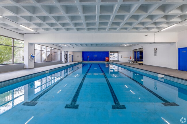 Swimming Pool - 50 Cordova