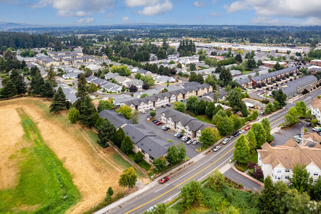 Aerial Photo - The Avenues Apartments