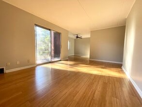Living Room - Willock Apartments