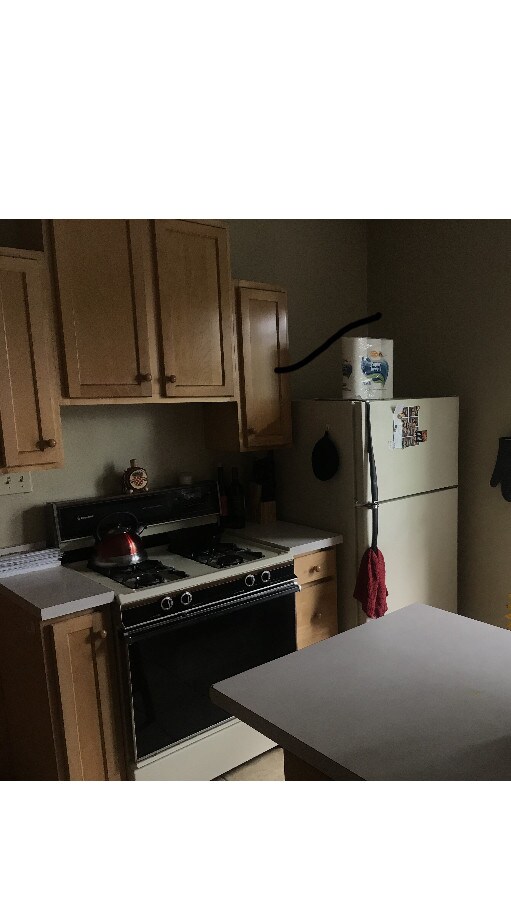 kitchen - 3073 N Humboldt Blvd