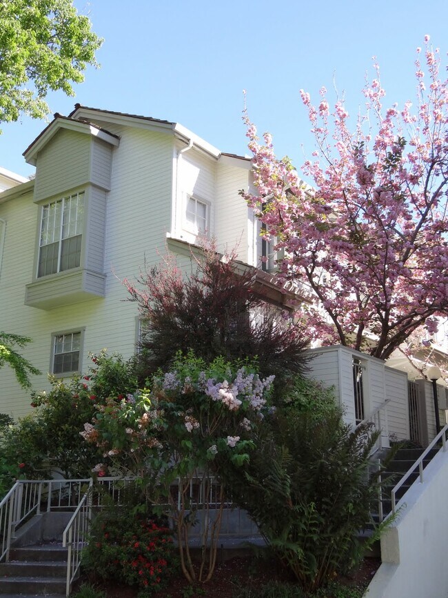 Foto del edificio - 964 Belmont Ter