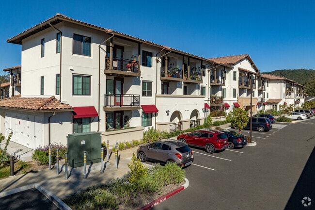 Building Photo - Siesta Senior Apartments