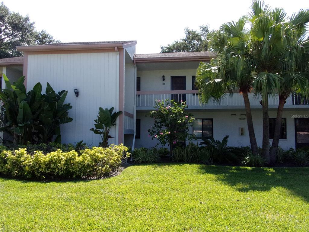 162 Lakeview Way, Oldsmar, FL 34677 Condo for Rent in Oldsmar, FL
