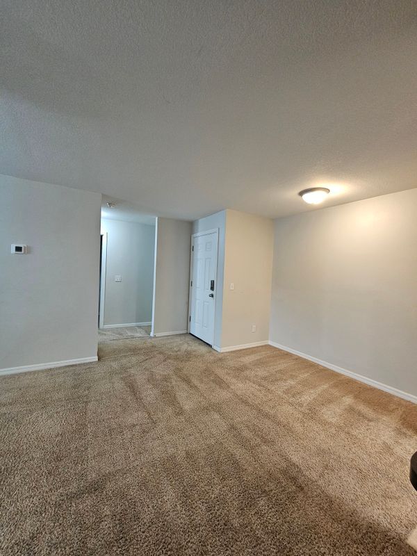 Foto del edificio - 540 Golden Raintree Pl