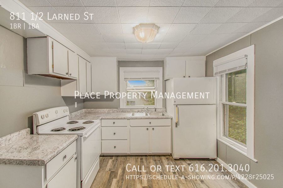 Primary Photo - 811 1/2 Larned St - Fully updated 1 bedroo...