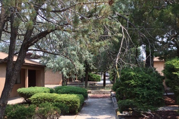 Primary Photo - 612 Jackson Ave
