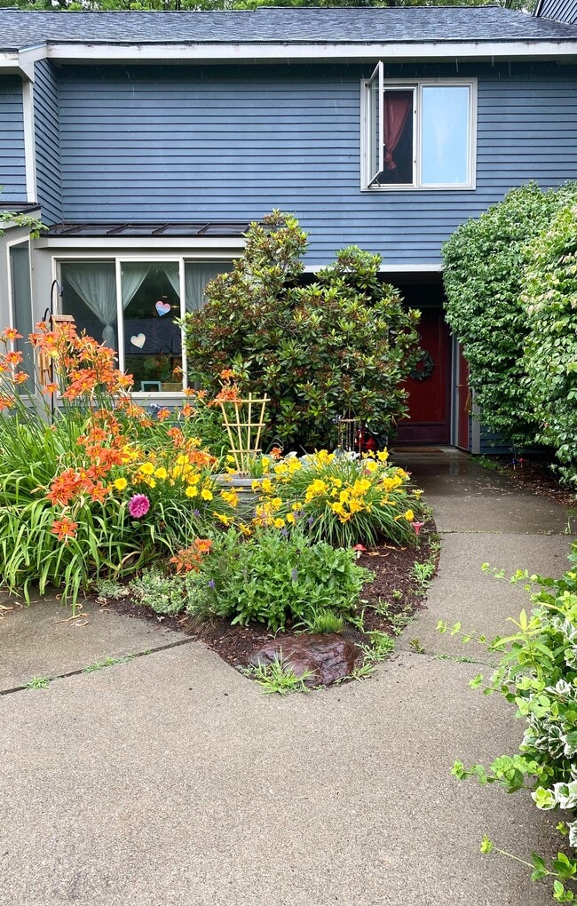 Front garden - 911 Dorset St