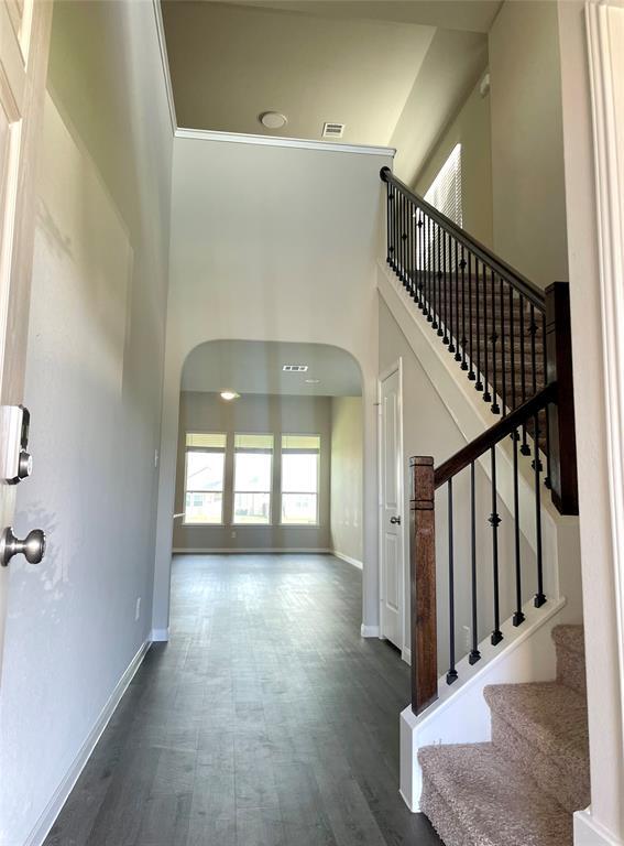Building Photo - 24807 Adami Veduta Ct