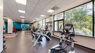 This fitness center offers a comprehensive workout environment across a single, open floor plan. The space is designed to accommodate a wide range of exercise modalities, organized into distinct functional zones that flow seamlessly from one to the next.

The cardio section is positioned along a wall of large, floor-to-ceiling windows that flood the area with natural light and provide lush, tree-lined outdoor views. This zone is outfitted with elliptical trainers, stationary bikes, and a stair climber, among other cardio equipment from brands including Cybex and True Fitness.

Moving deeper into the space, a strength and free weights area features a multi-station cable machine, weight racks, dumbbells, and an adjustable bench. A vibrant teal accent wall serves as a bold architectural focal point in this section, complemented by wall-mounted mirrors that enhance the sense of depth and space.

A dedicated stretching and functional training zone includes exercise mats in red and white, a balance disc, a punching bag, and medicine balls. Durable rubber flooring throughout the entire facility provides safety and comfort underfoot.

The facility also includes private restroom access, a water cooler station, and wall-mounted sanitation supplies. Overhead, a drop-panel ceiling with recessed fluorescent lighting ensures consistent, even illumination throughout. The overall design is clean, modern, and purposefully functional.