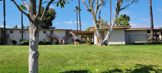 Bonita área de césped con área de pérgola para picnic fuera del centro recreativo y la piscina en Plaza Verde Apartments en Escondido, California. - Plaza Verde