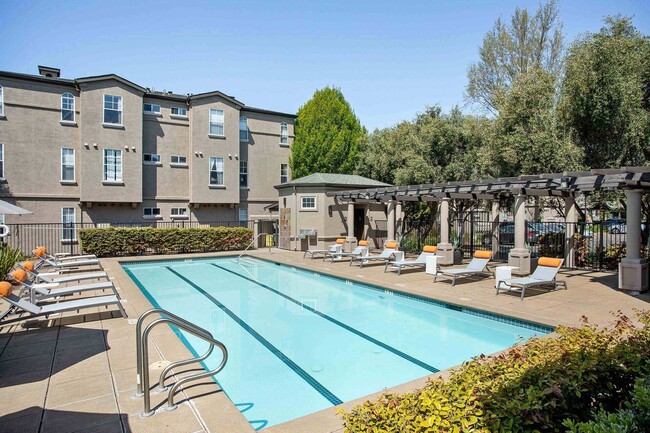 Piscina estilo centro vacacional y solárium en las casas de apartamentos Renaissance en Santa Rosa - Renaissance Apartment Homes