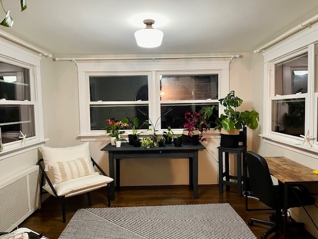 sun room - 47 Cathedral Ave