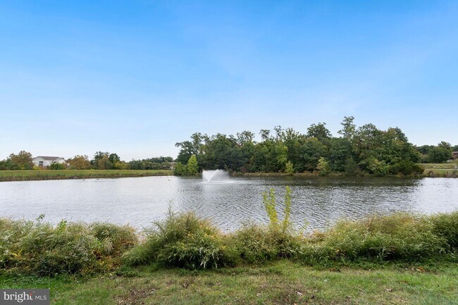 Building Photo - 1720 Lake Shore Crest Dr