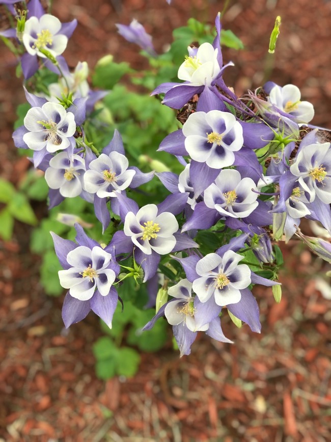 Spring is in the air! - A1 Properties