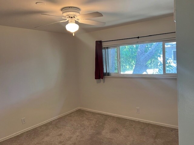 Dormitorio - 5851 Woodman Ave