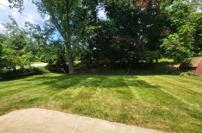 large flat back yard - 9101 Saginaw Dr