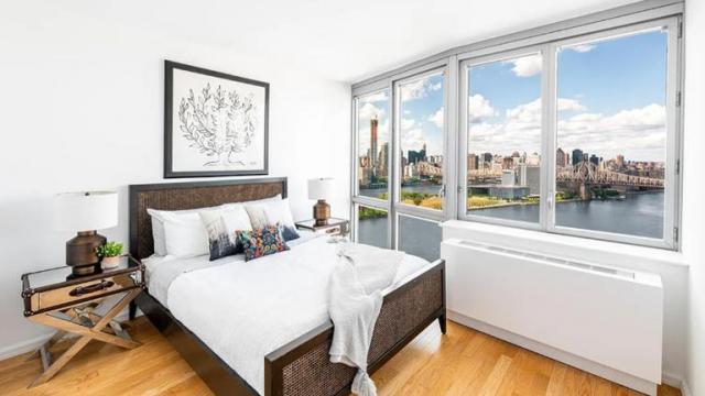 Foto del edificio - 1 bedroom in LONG ISLAND CITY NY 11109