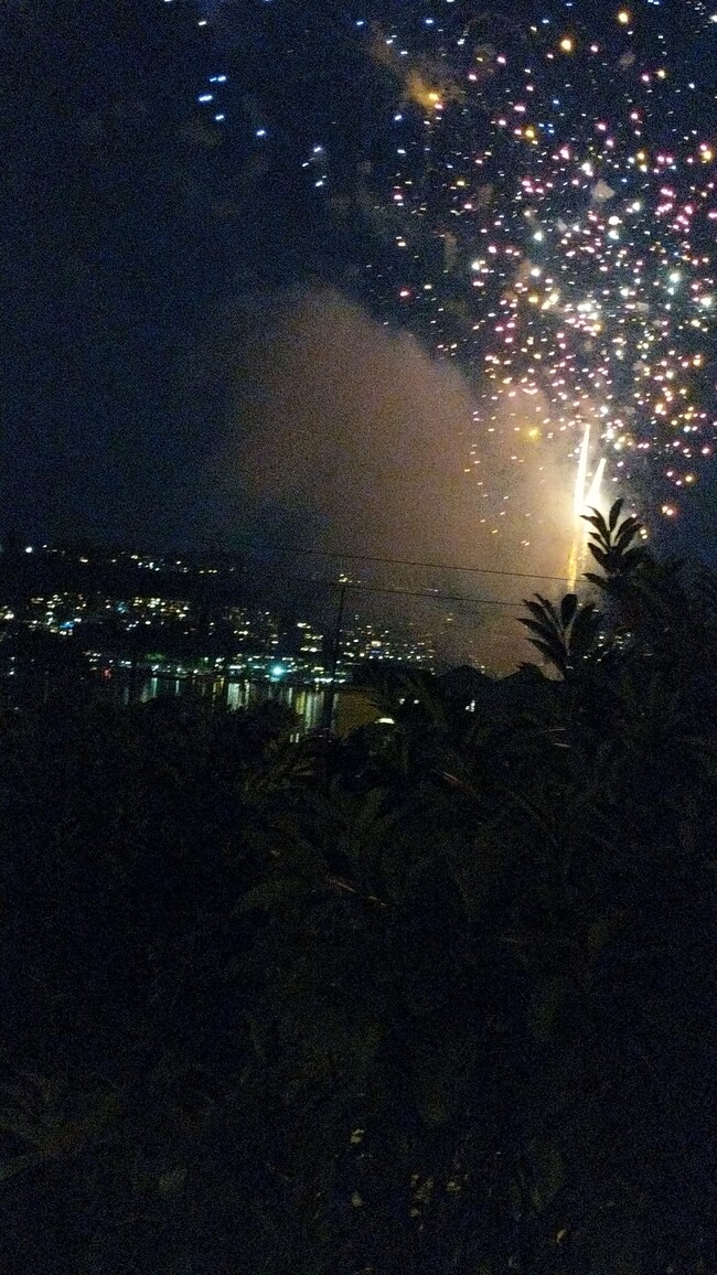 July 4th firework from deck - 2315 Yale Ave E
