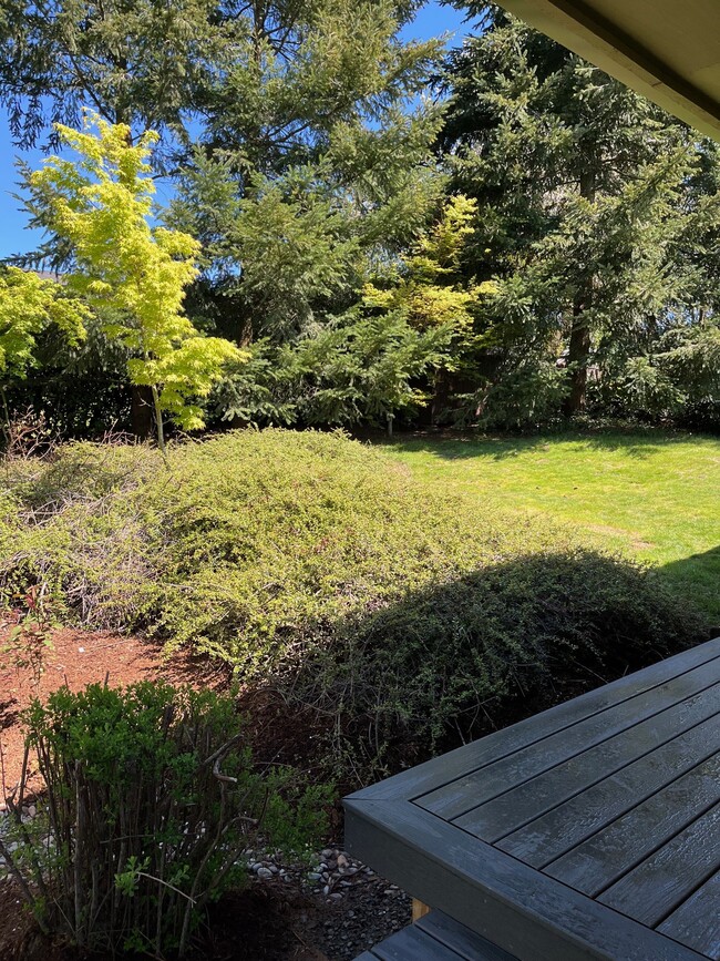 Very privatr backyard - 2025 SW Canby St