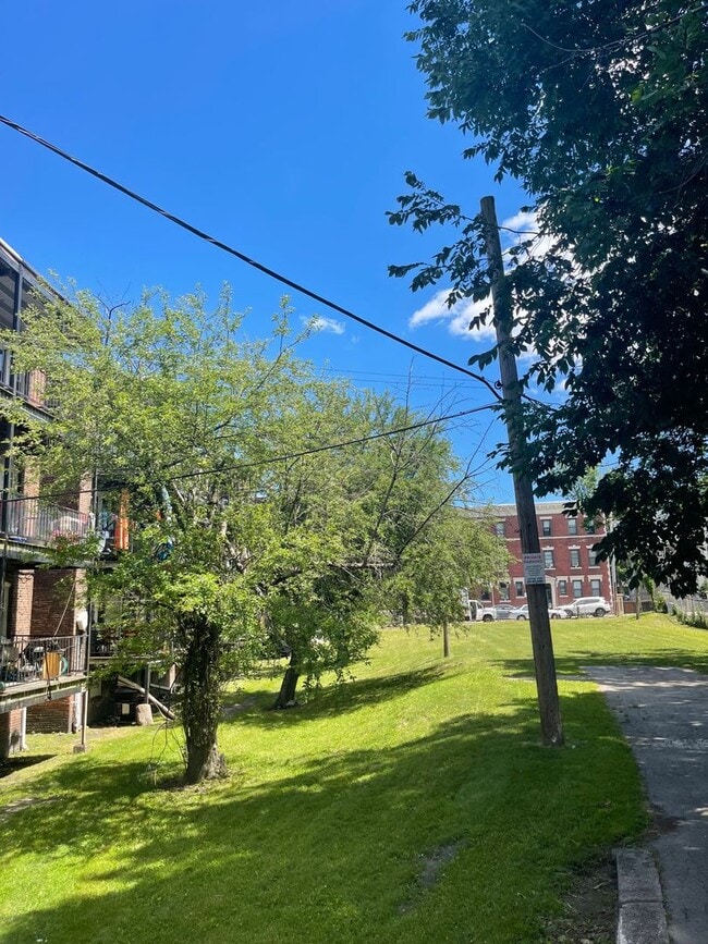 Photo - 1 Ernst Street Apartment