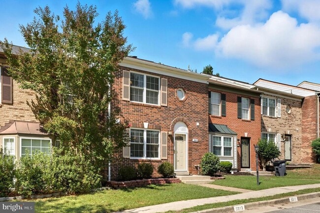 Building Photo - 3313 Ladino Ct