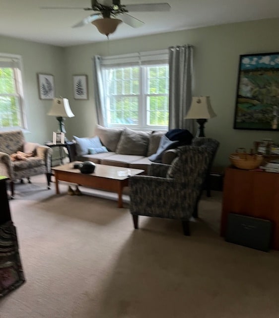 Large den - 2401 Brand Farm Dr