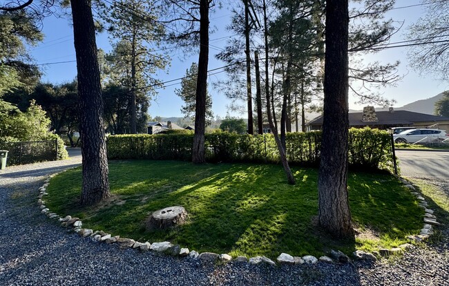 Front yard circular driveway - 7627 Pine Blvd