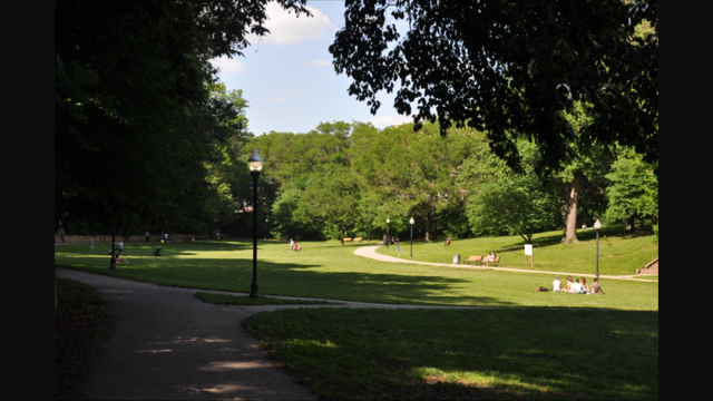 Wyman Park across the street - 3005 Huntingdon Ave