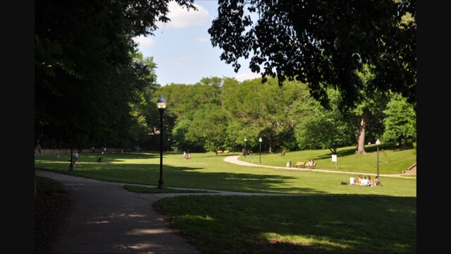 Wyman Park al otro lado de la calle - 3005 Huntingdon Ave