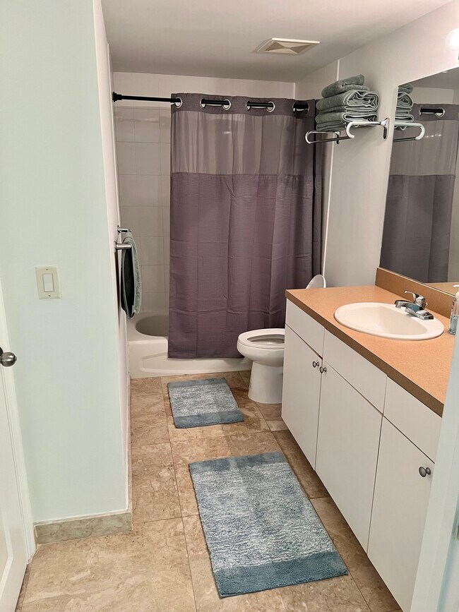Baño 1 - 1250 S Miami Ave