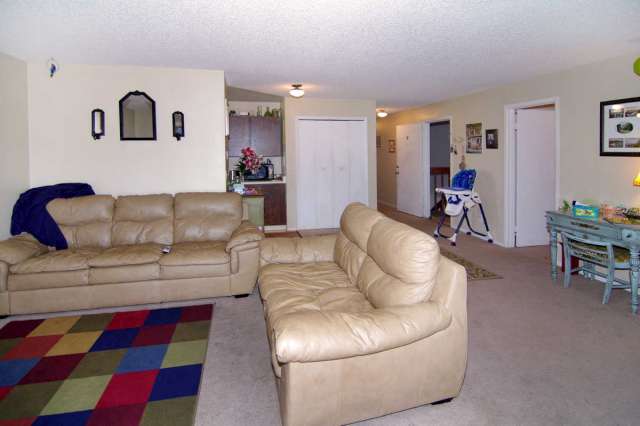 Foto del edificio - 1125 Holli Springs Ln