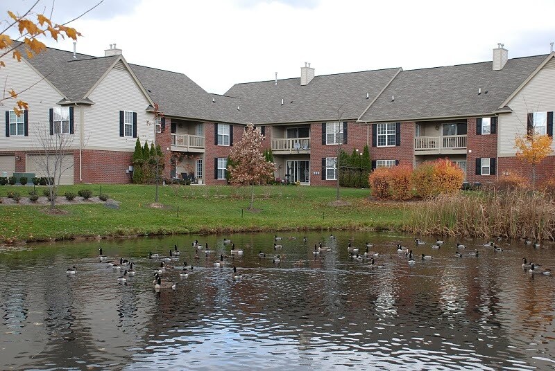 28334 Carlton Way Dr, Novi, MI 48377 Townhome Rentals in Novi MI