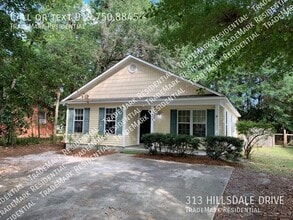 Building Photo - 313 Hillsdale Dr
