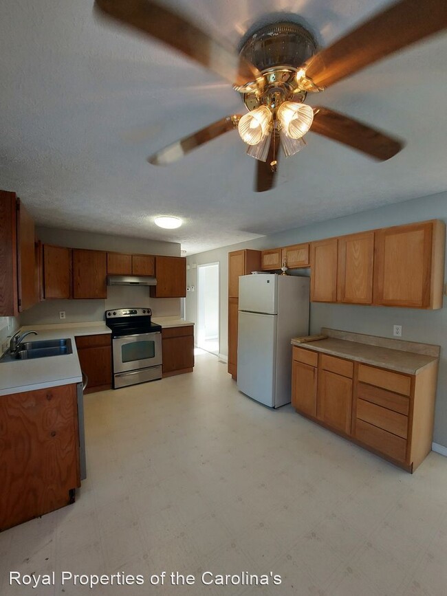 Building Photo - 4 br, 2 bath House - 253 Overcash Road
